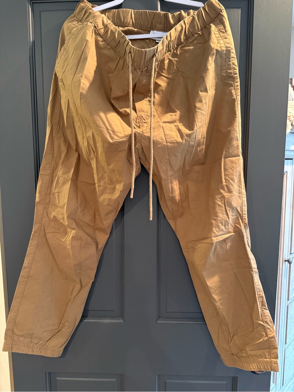 Goodfellow & Co Camel Drawstring Joggers